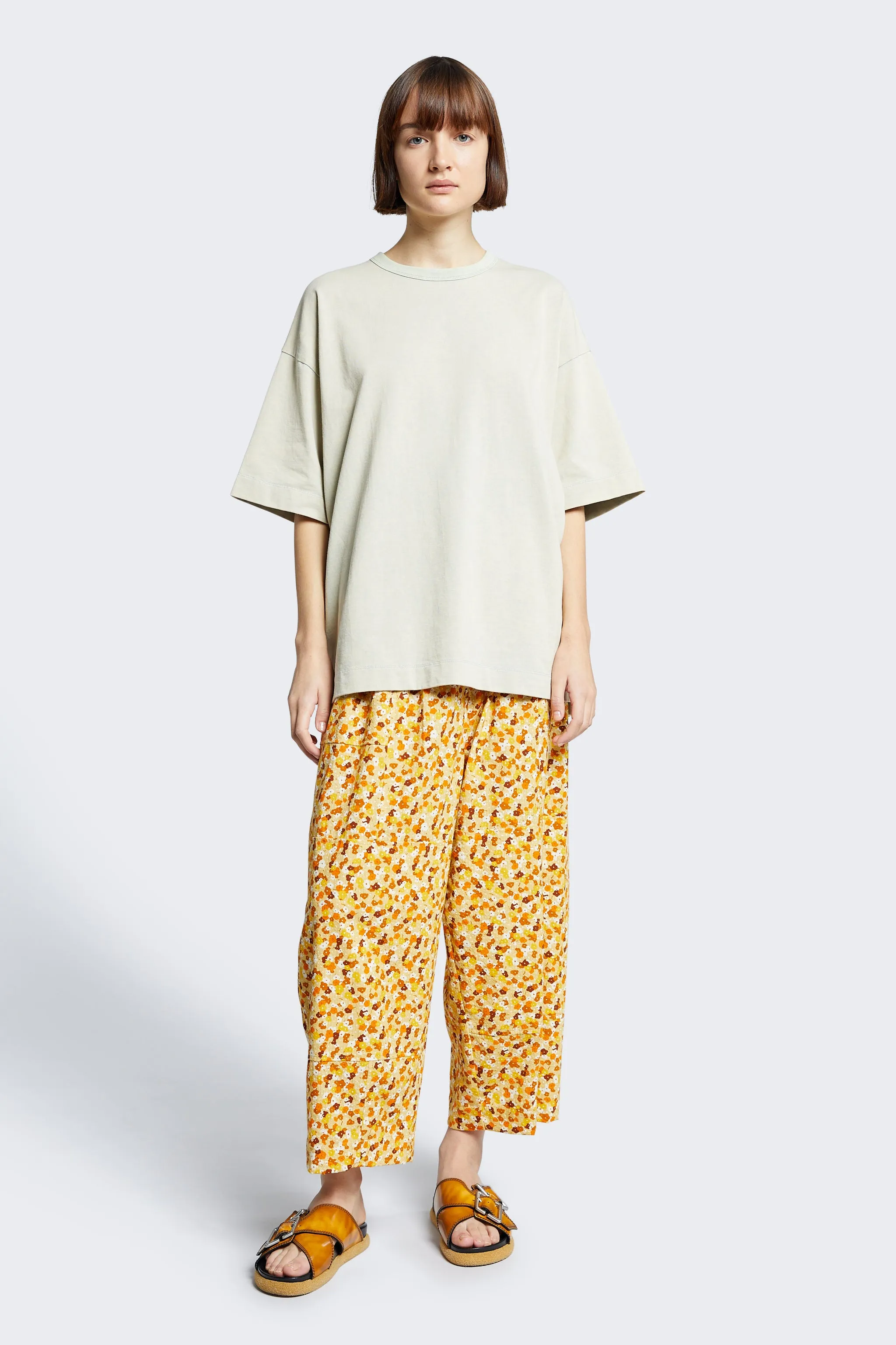 Aratus Pant Gold/Tan Print