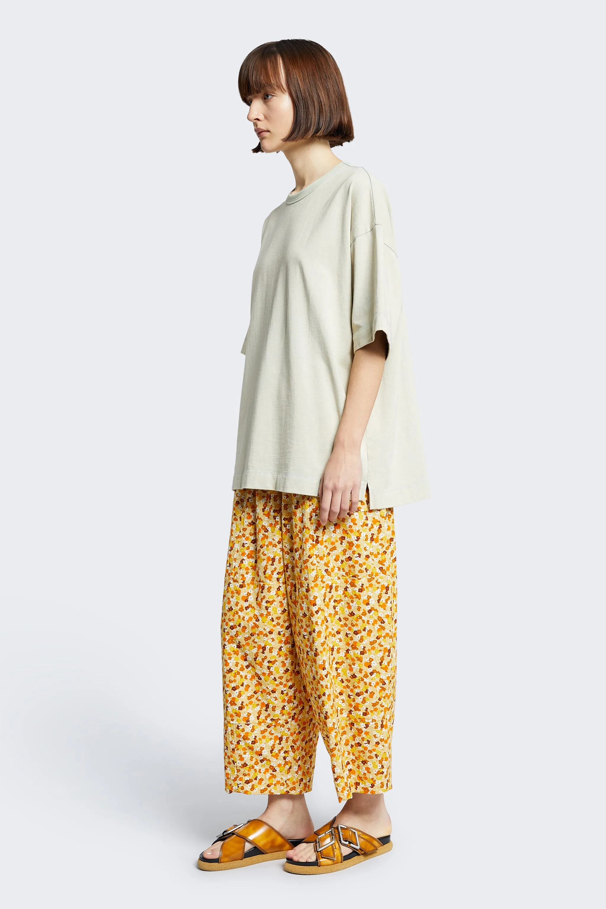 Aratus Pant Gold/Tan Print