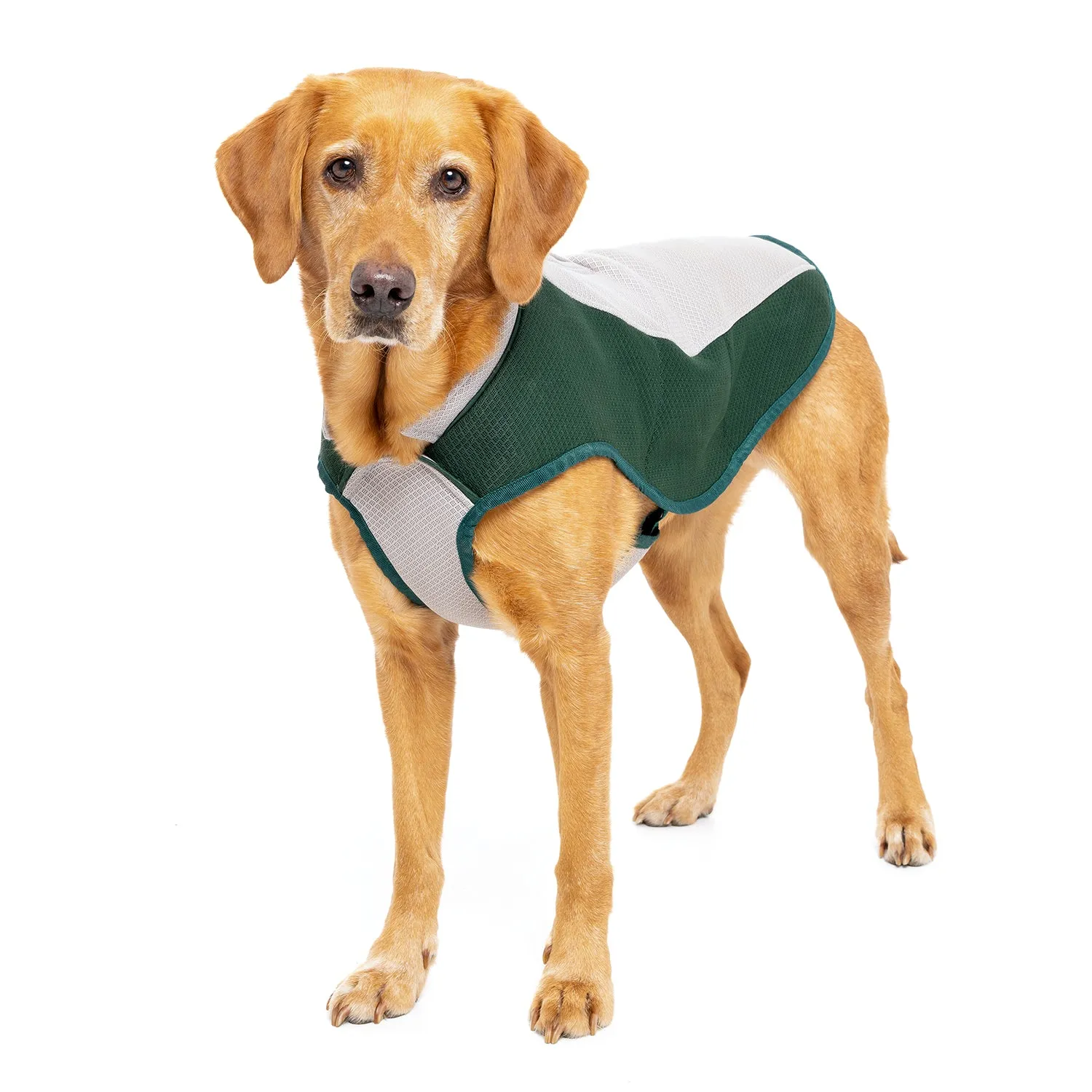 Dog Cooling Coat