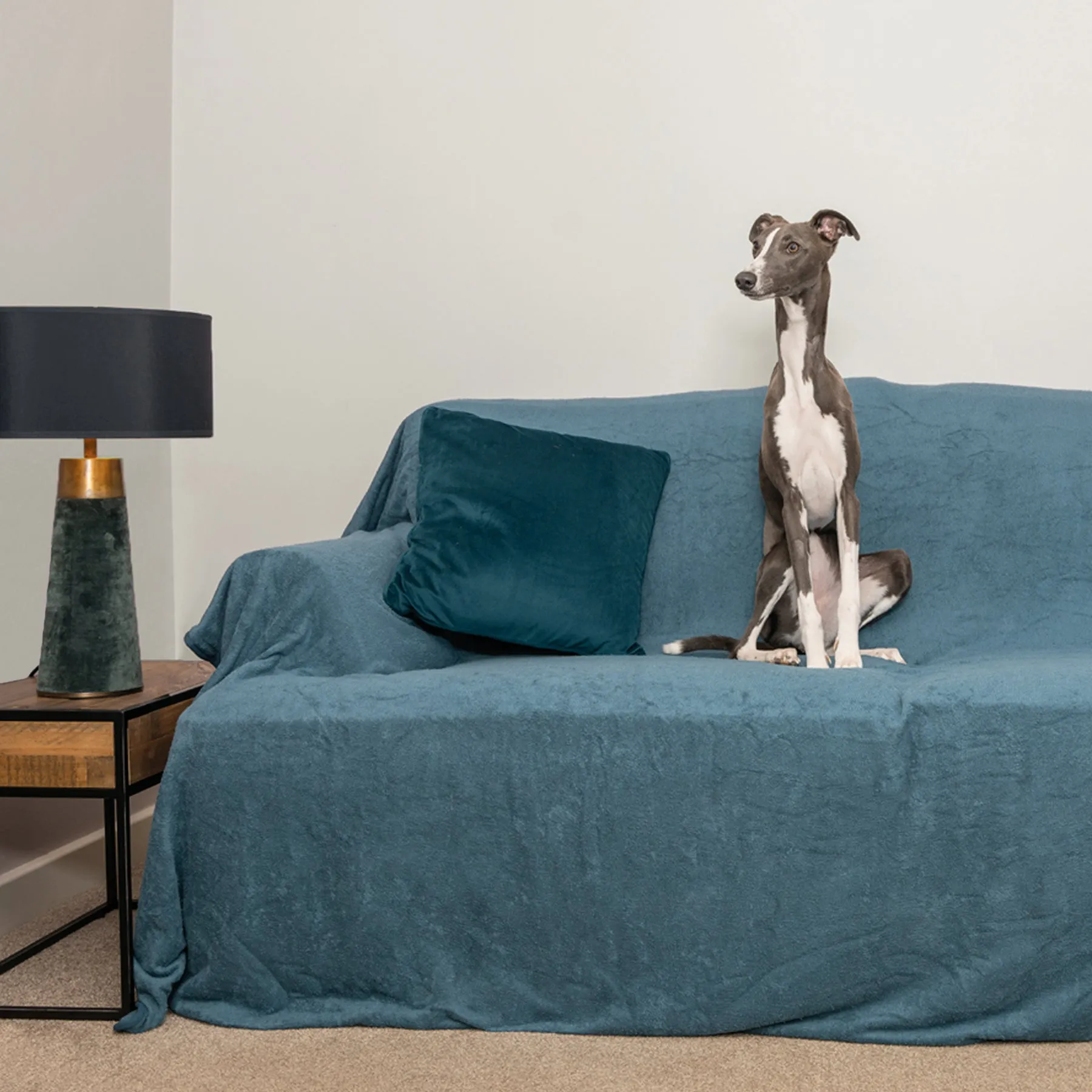 Sofa Throw - Teal